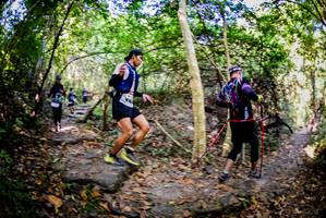 BIB: 
                            <button type="button" onclick="openModal(7048750)" class="btn btn-primary btn-sm float-right btn-popup" data-toggle="modal" data-target=".modal-high-quality">
                        <i class="fas fa-shopping-cart"></i> Add to Cart
                    </button>
                                            <button type="button" onclick="isThisMe(7048750, true)" class="btn btn-success btn-sm float-right btn-popup btn-isme hidden" data-toggle="tooltip" data-placement="bottom" title="นี่คือรูปของคุณใช่ไหม คลิกที่นี่เพื่อเอาเข้าอัลบั้ม">
                        <i class="fas fa-plus"></i> Add to album
                    </button>
                    <button type="button" onclick="isThisMe(7048750, false)" class="btn btn-warning btn-sm float-right btn-popup btn-isnotme hidden">
                        <i class="fas fa-ban"></i> Remove from album
                    </button>